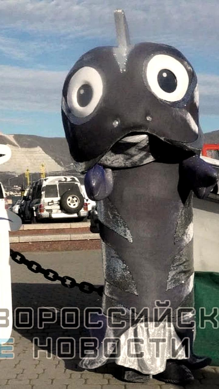 Фестиваль хамсы в Новороссийске отменен на 2025 год из-за безопасности