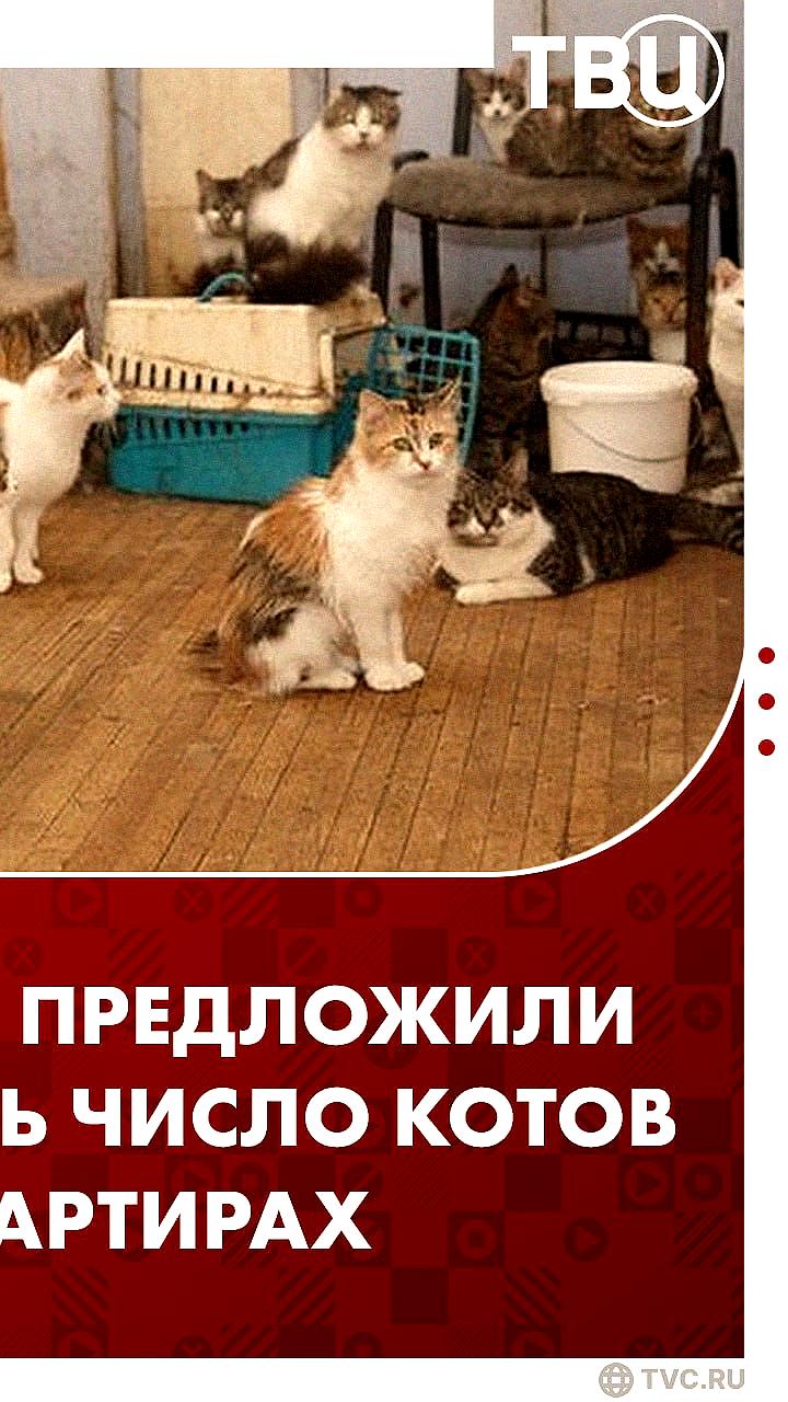 В Госдуме предложили ограничить количество домашних животных в квартирах