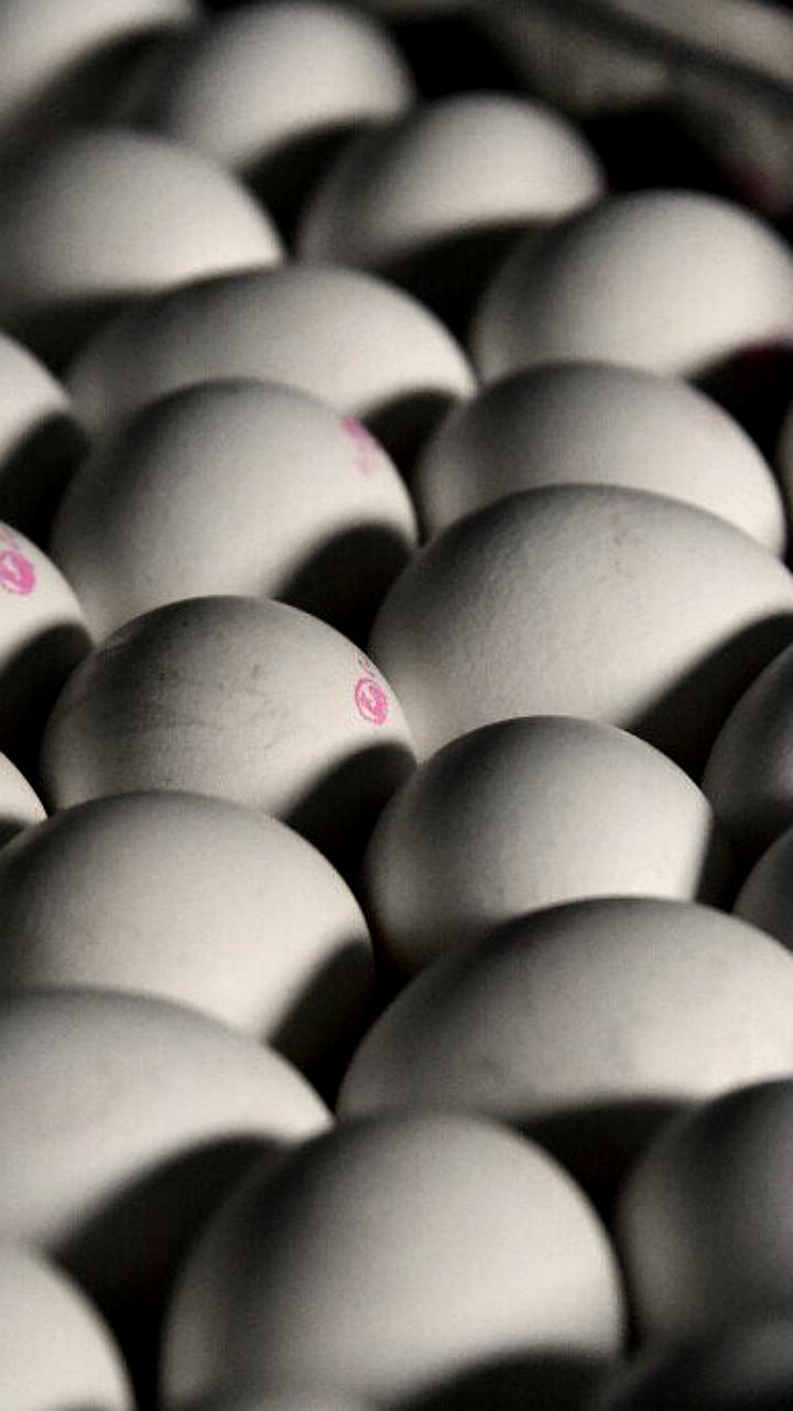 Россия в пятерке стран с самыми низкими ценами на яйца