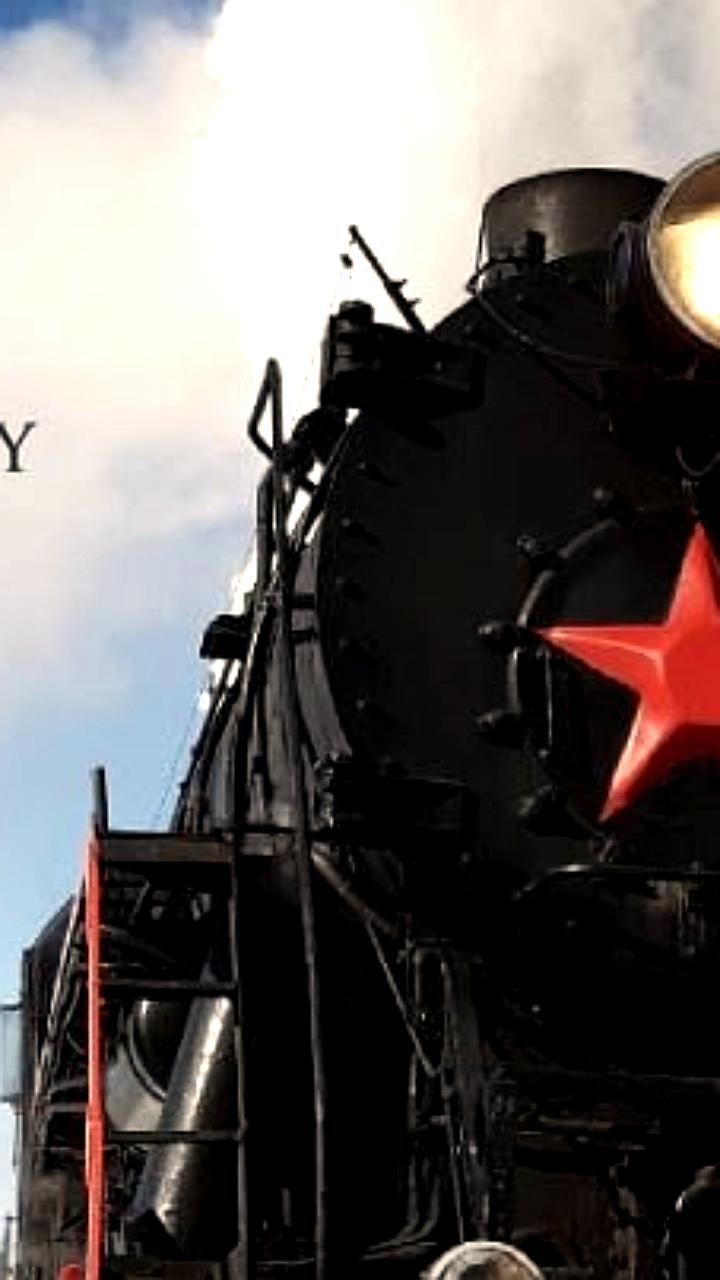 На Кругобайкальской железной дороге временно закрыт туристический маршрут из-за агрессивного медведя