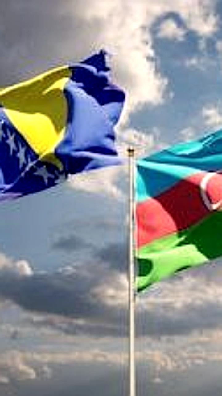 В Баку прошла международная конференция по проблеме пропавших без вести