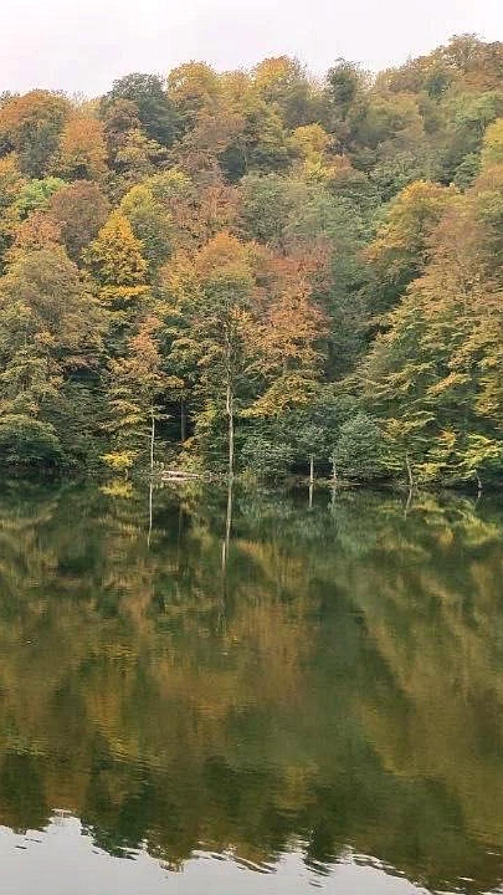 Школьники и педагоги участвуют в экологических проектах в России