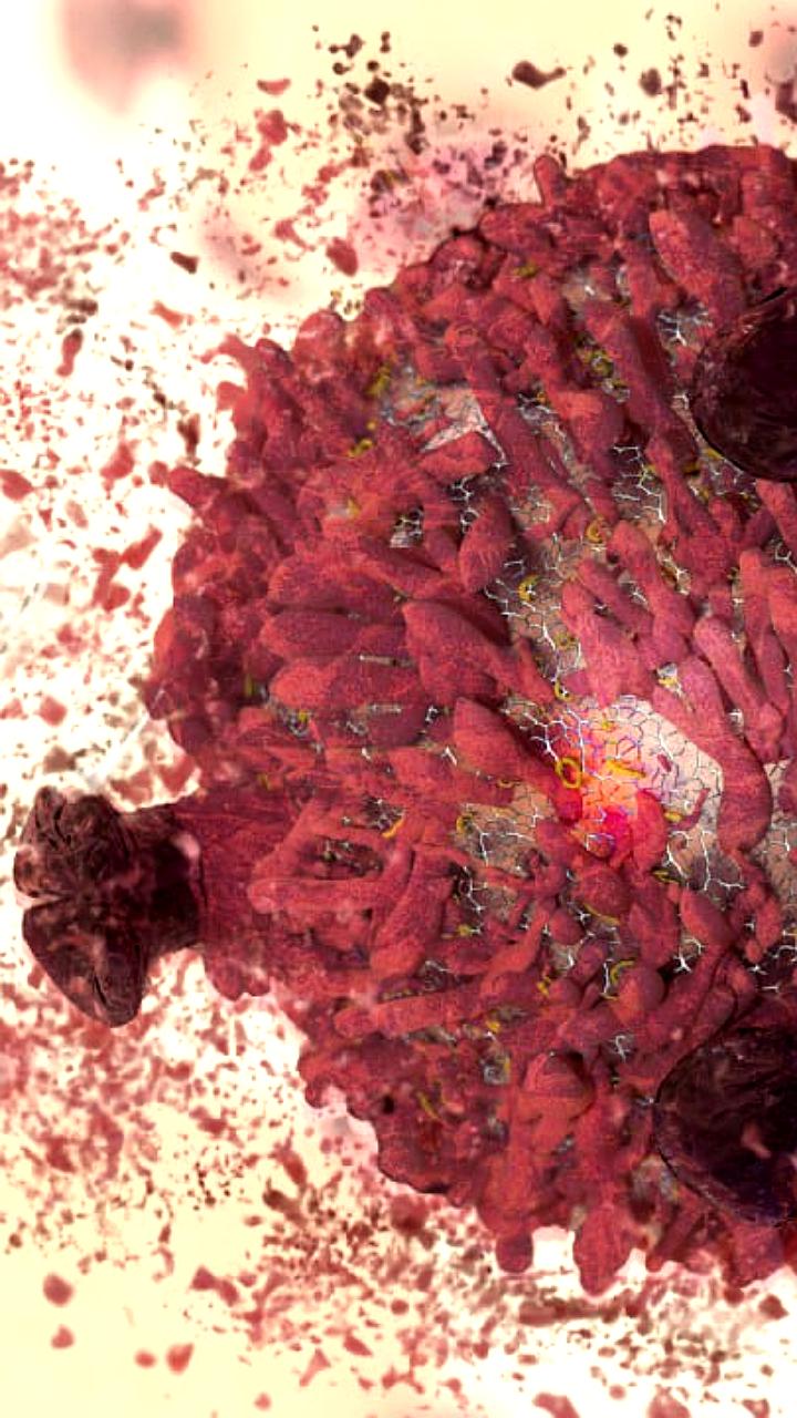 Ученые из США представили новую вакцину против рака с высоким уровнем эффективности