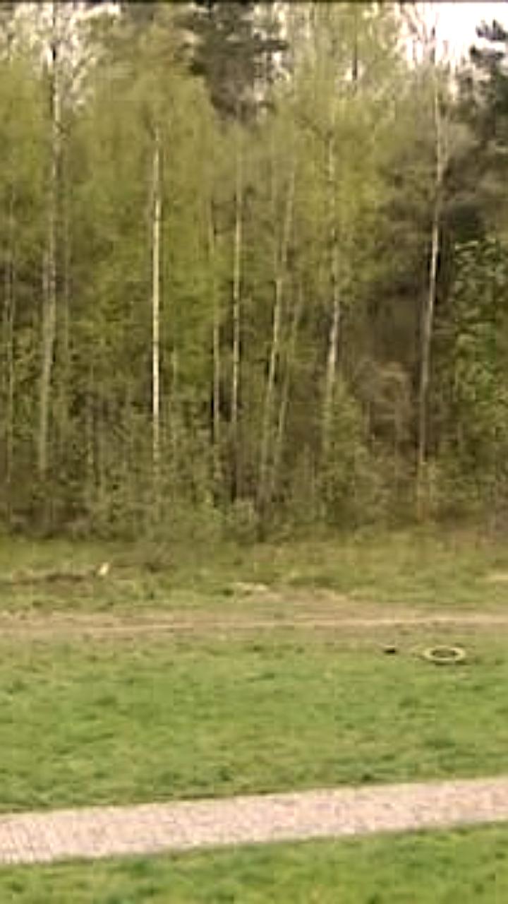 Суды подтверждают защиту зеленых зон в Санкт-Петербурге и Ростове-на-Дону