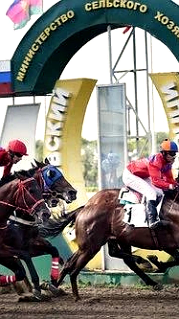 Закрытие ипподрома в Ростове на Дону и открытие сквера в Усово Тупик: новые проекты для местных жителей