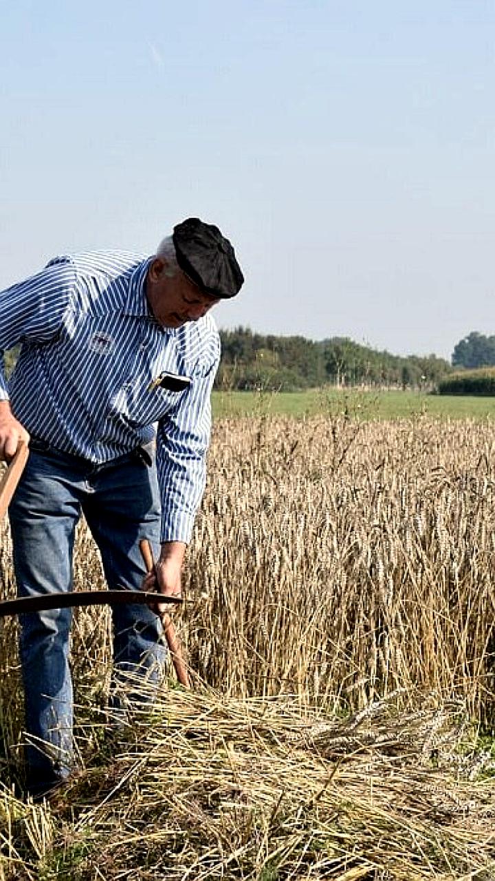 Белгородская область получит более 877 млн рублей на поддержку аграриев