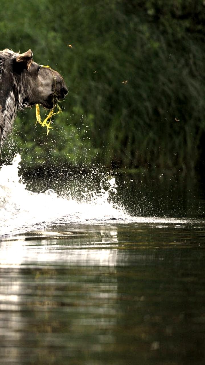 Тунгусский заповедник отмечает 30-летие с момента создания