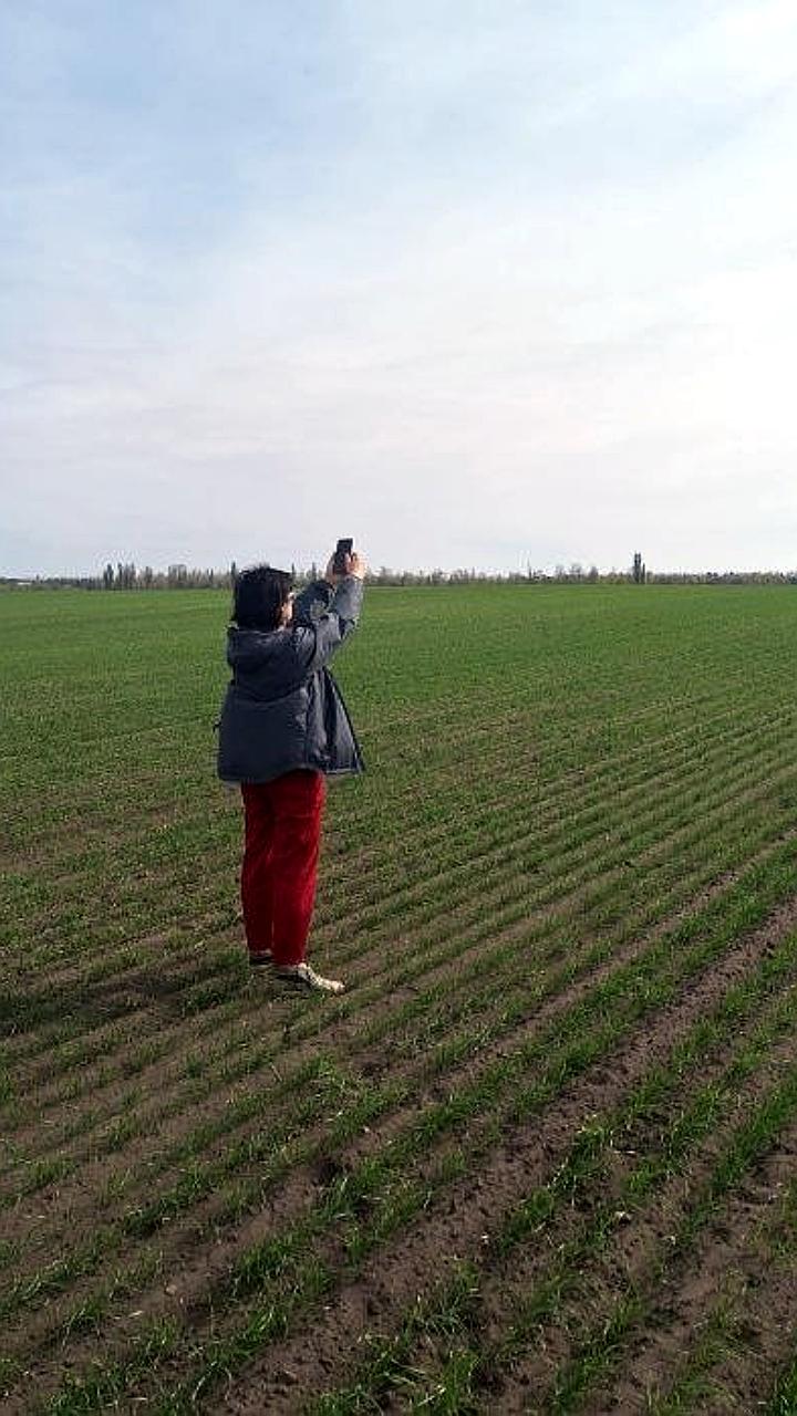 Мониторинг озимых посевов в Воронежской области и завершение сева в Запорожье