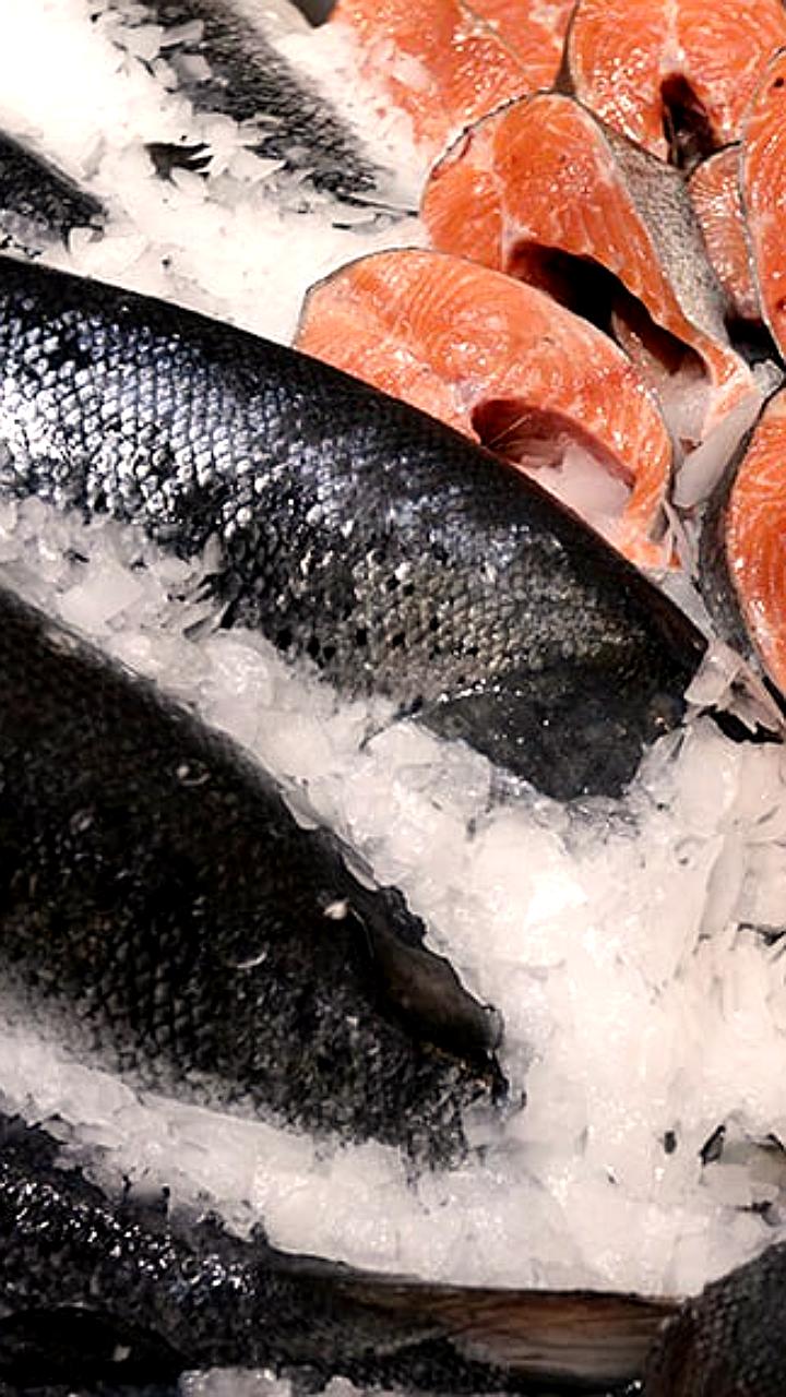 Россия и Чили обсудят поставки рыбной продукции в конце октября