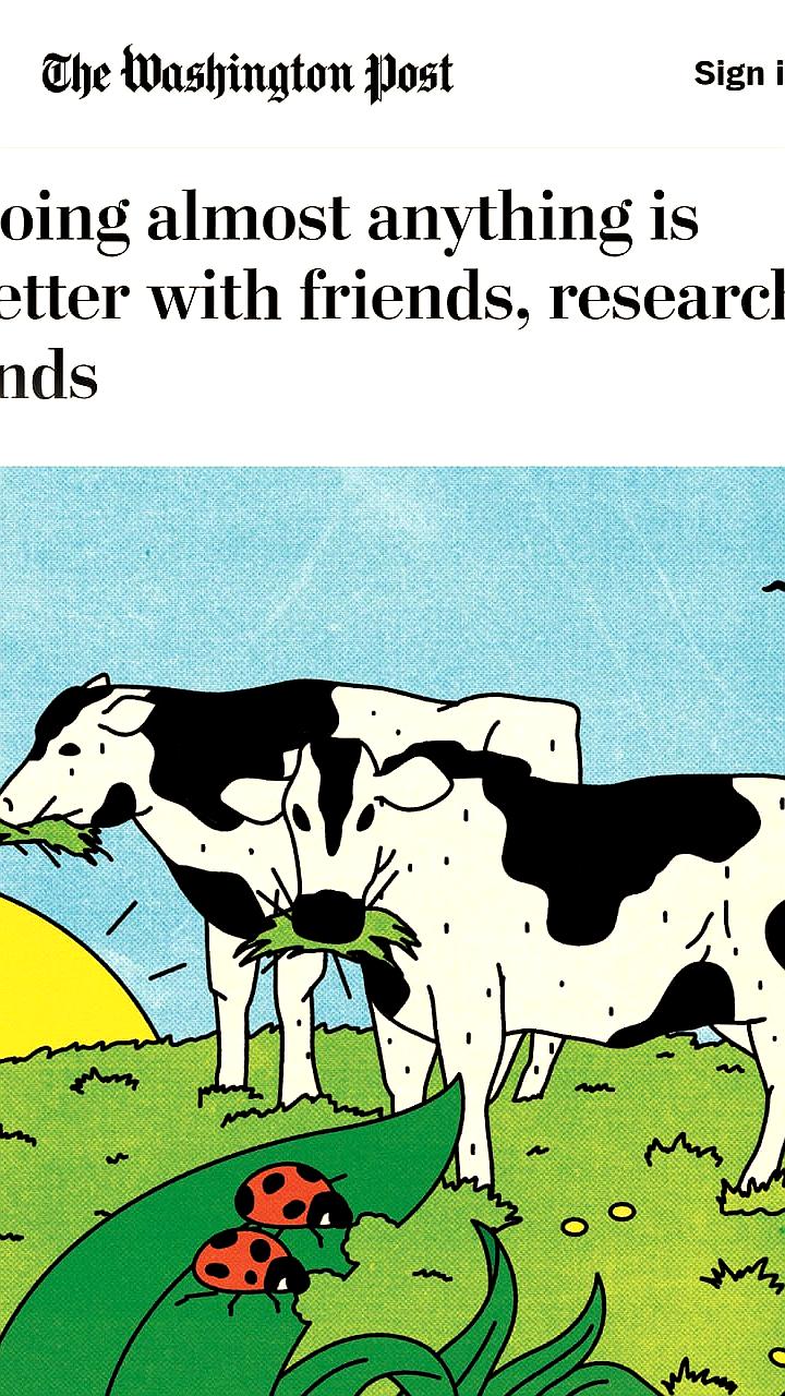 Исследование подтверждает: совместные занятия повышают уровень счастья