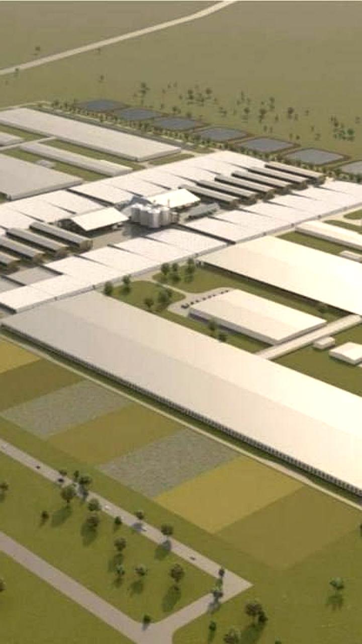 Оренбуржье отмечает успехи в агропромышленном комплексе на профессиональный праздник