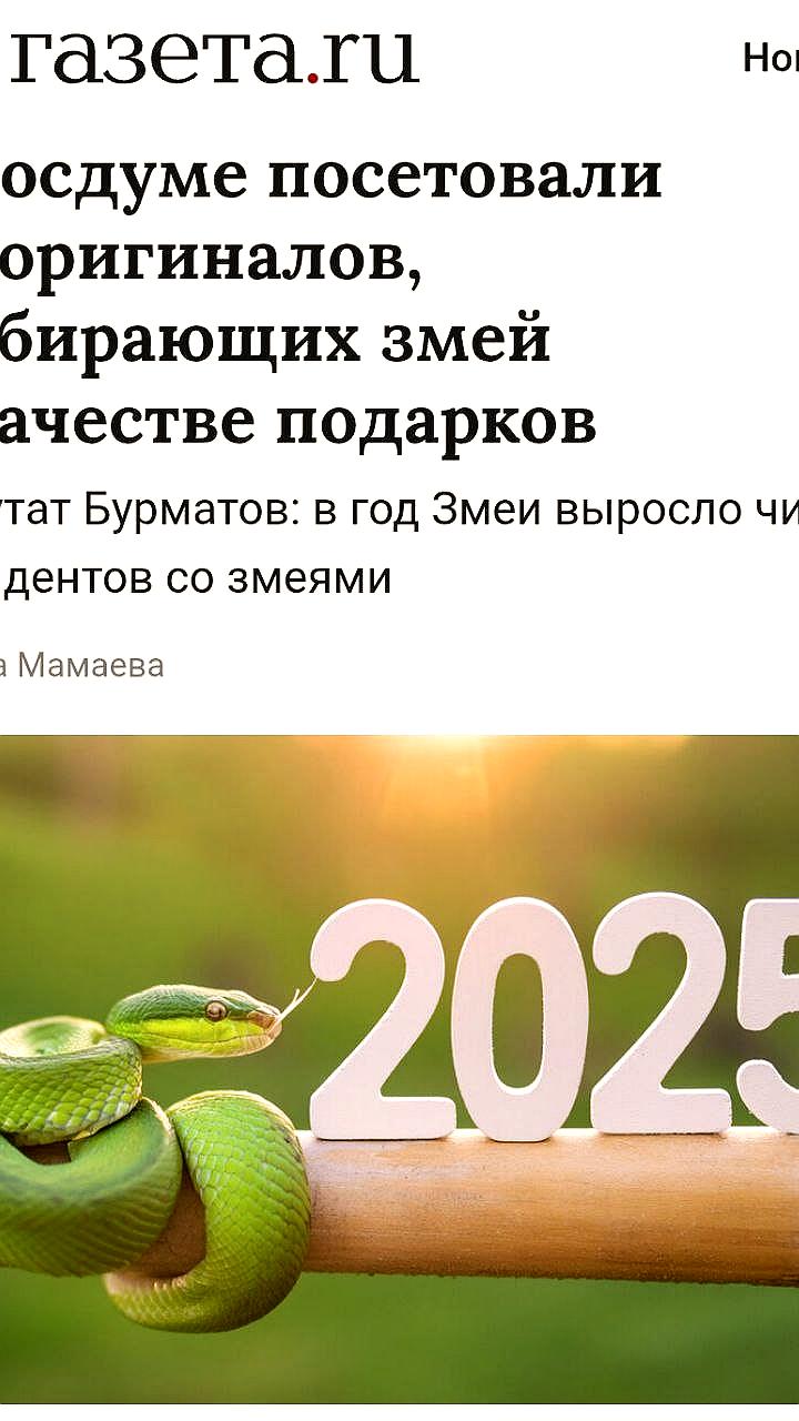 Рост инцидентов с змеями в Год Змеи по данным депутата Бурматова