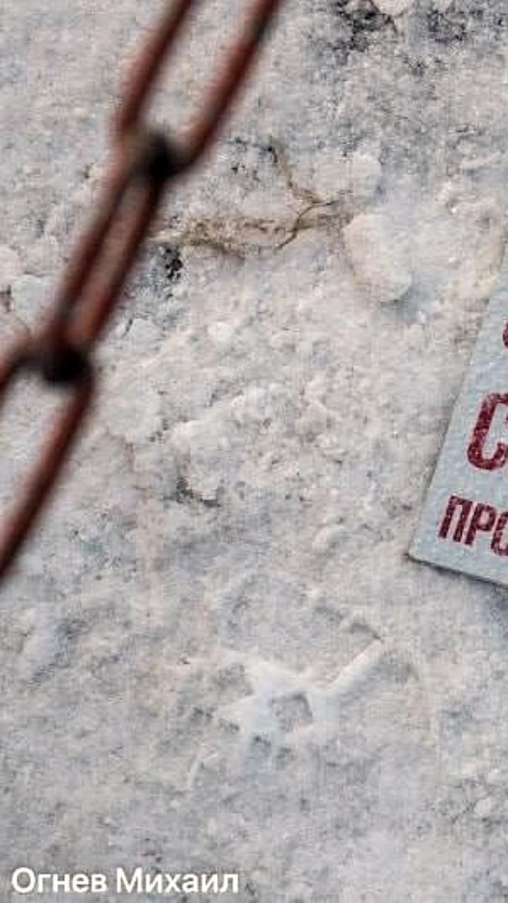 Первый снег в Санкт-Петербурге ожидается 15 октября