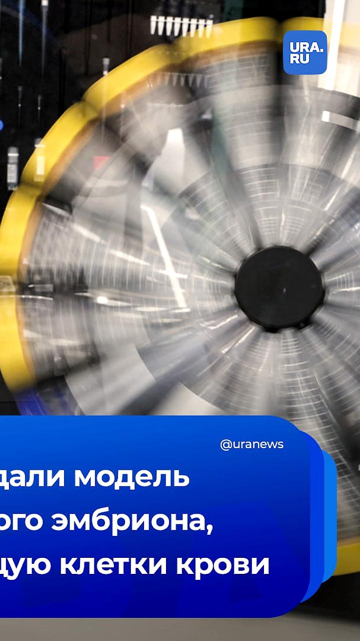 Ученые создали трехмерные структуры для производства клеток крови