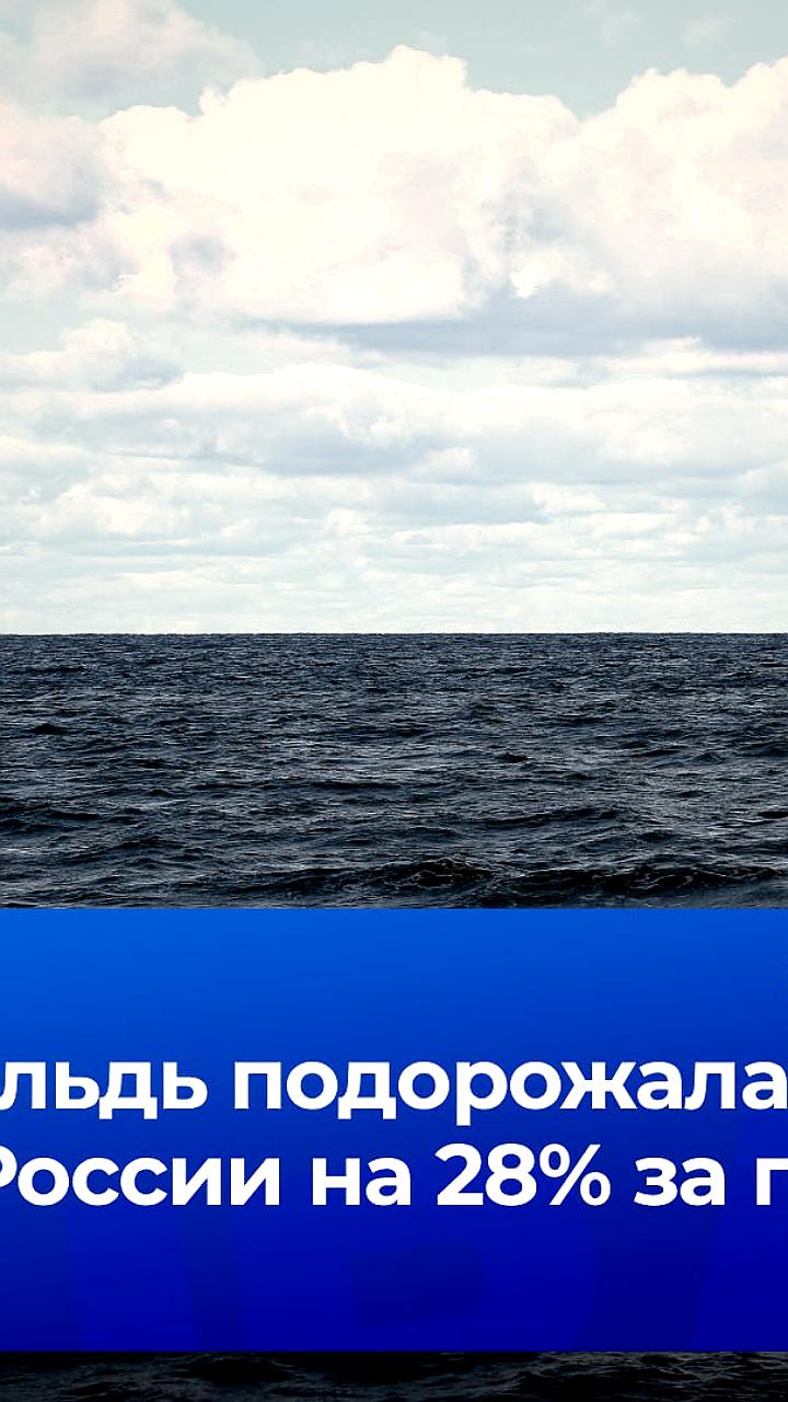 Сельдь в России подорожала на 30% за год, несмотря на снижение оптовых цен