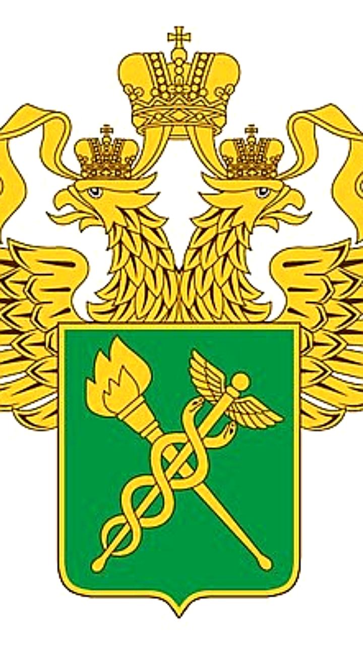 Создание Совета по совершенствованию таможенных операций в московском авиаузле