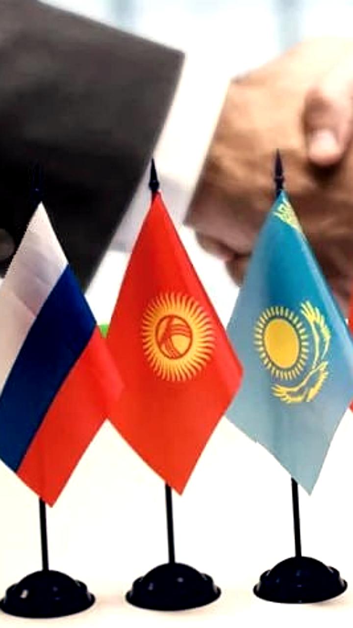 ЕАЭС обновляет правила таможенного декларирования товаров в электронной торговле