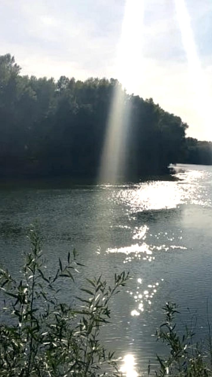 Повышение уровня воды в Днестре ожидается из-за увеличения сброса на ГЭС