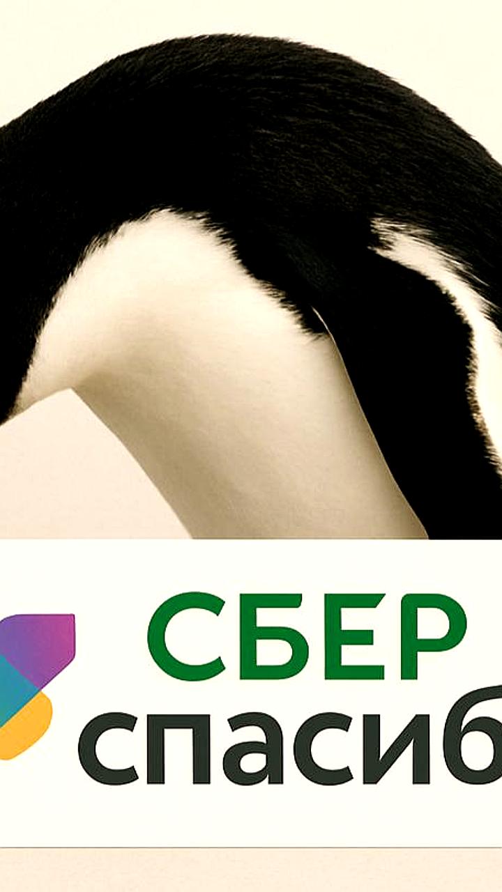 Бесплатный курс психологии для детей погибших участников СВО