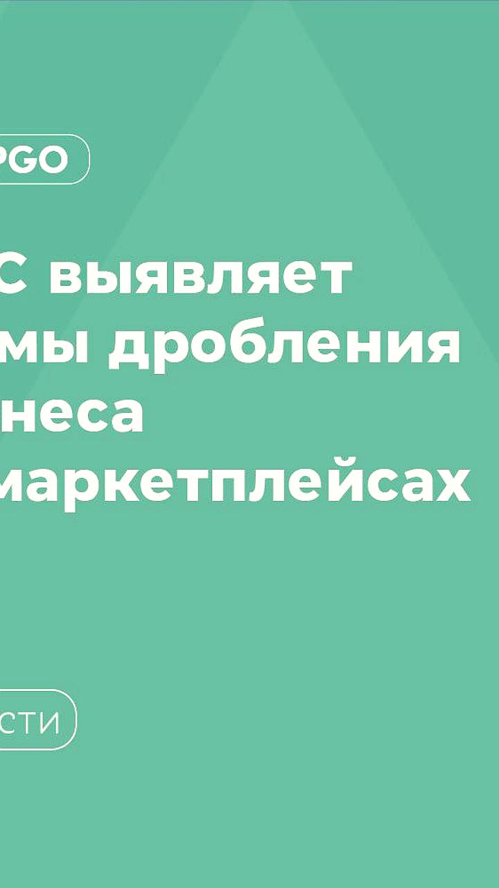 ФНС запускает эксперимент по выявлению дробления бизнеса на маркетплейсах