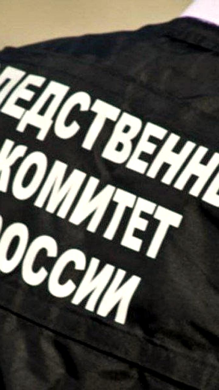 В Набережных Челнах возбуждено уголовное дело за призывы к насилию в мессенджере