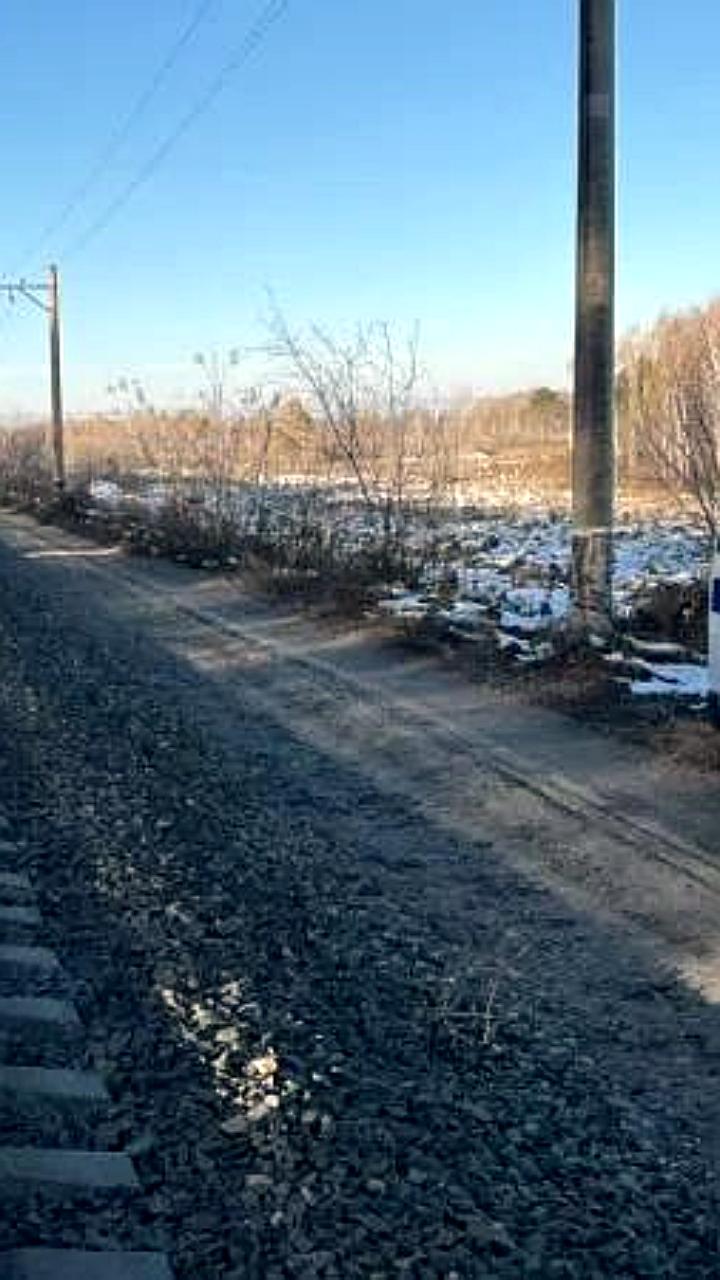 Поезд травмировал мужчину на перегоне в Алтайском крае