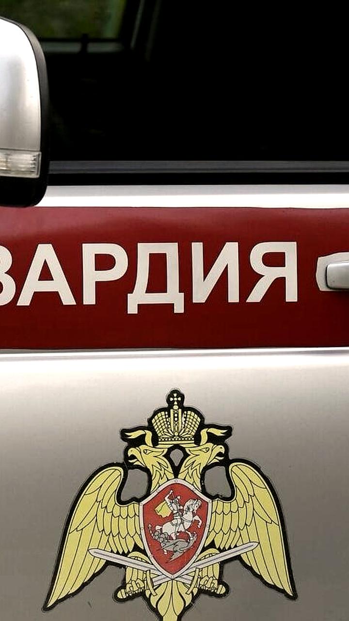 Нападение на росгвардейца в Новой Москве: подозреваемый в наркотиках ранил стража порядка