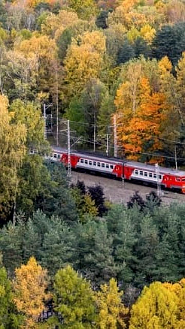 Изменения в расписании поездов между Санкт-Петербургом и Псковом