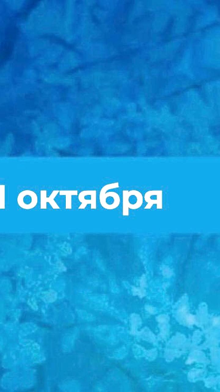 21 октября: Подготовка к зиме и память святых Пелагии и Трифона