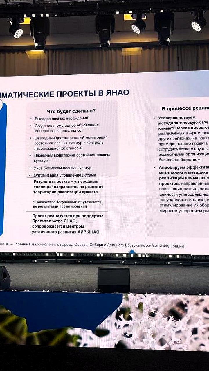 На Ямале стартует первый лесоклиматический проект в российской Арктике