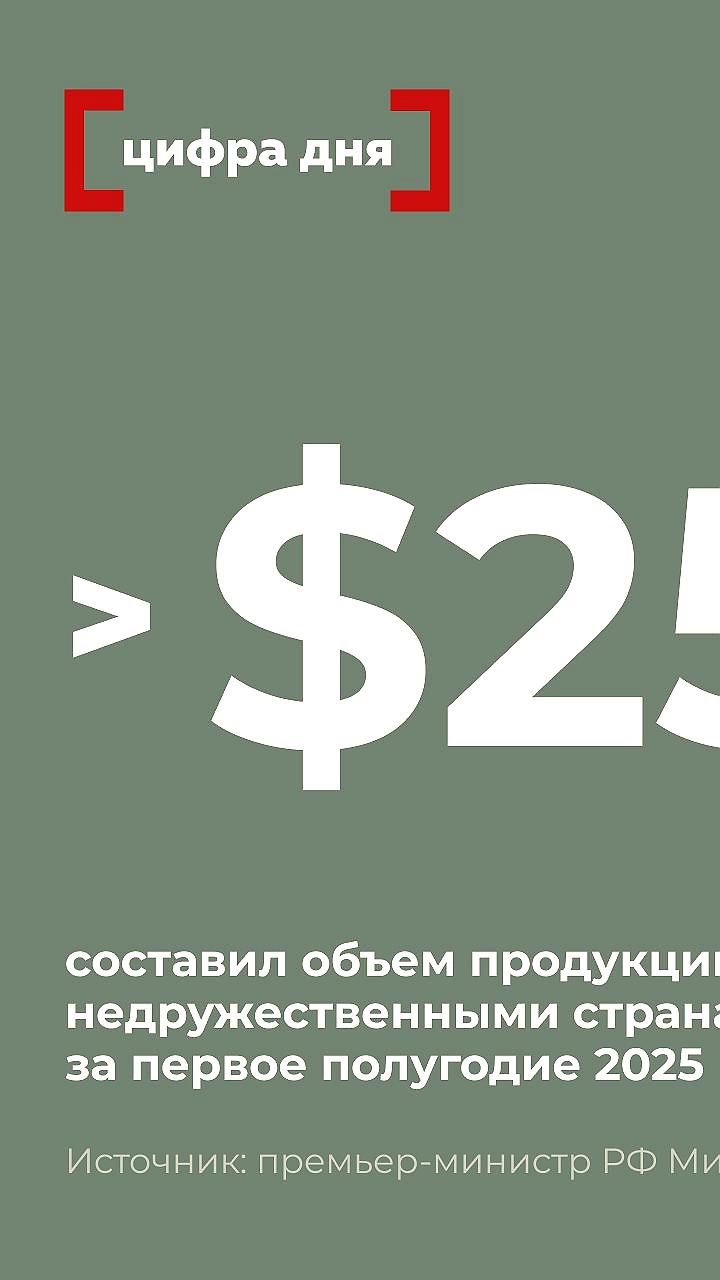 Михаил Мишустин: Недружественные страны продолжают закупать российские товары