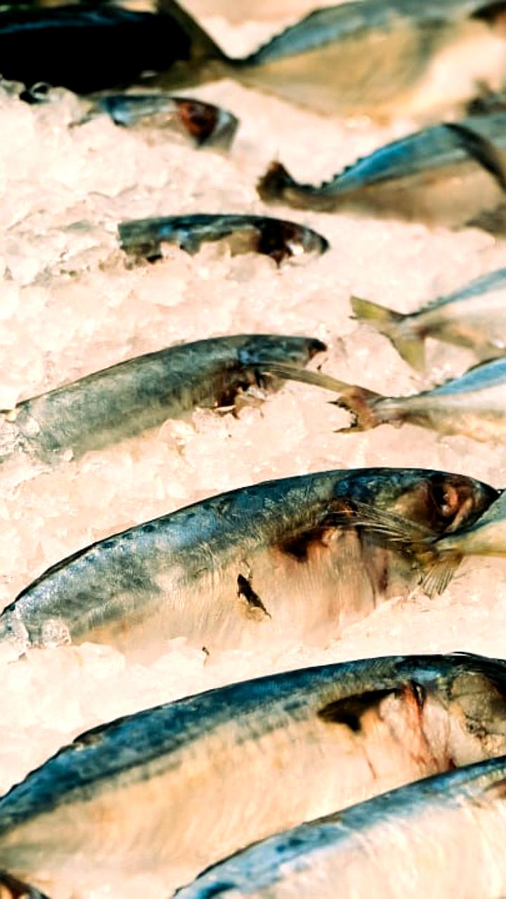 Узбекистан расширяет импорт животноводческой продукции из России