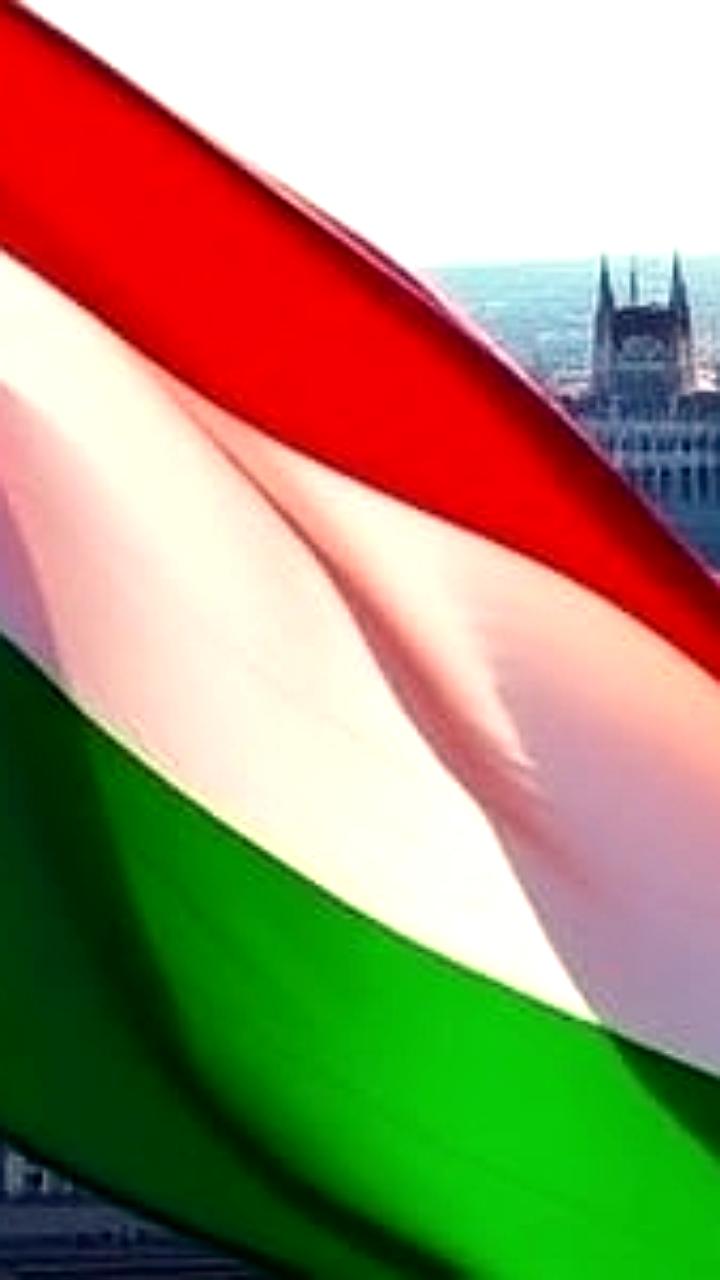 Рост числа российских туристов в Венгрии на 17% зафиксирован консулом