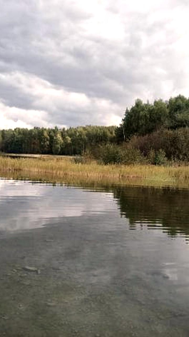 В Красноярском крае восстановлен доступ к берегам Енисея и Базаихи