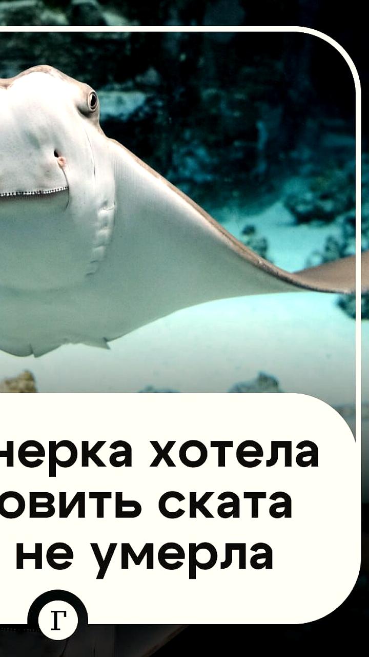 Пенсионерка из Подмосковья пострадала от ядовитого шипа ската хвостокола