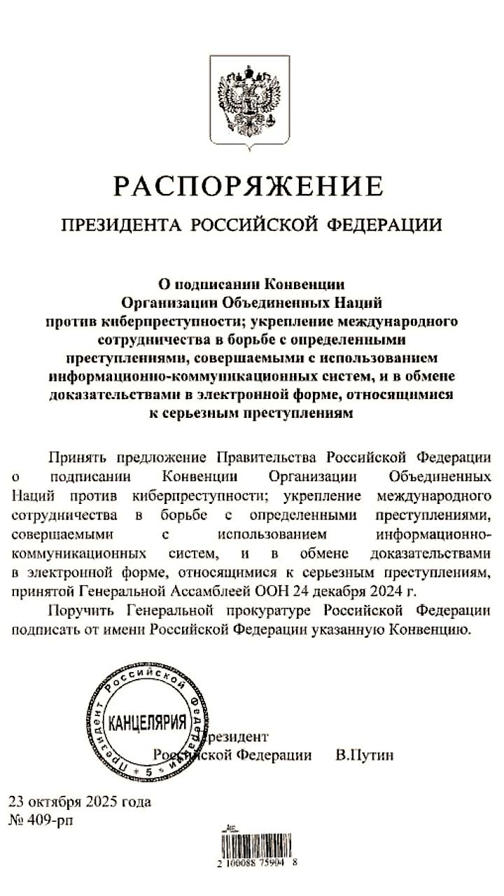 Россия поддерживает инициативу ООН по борьбе с киберпреступностью