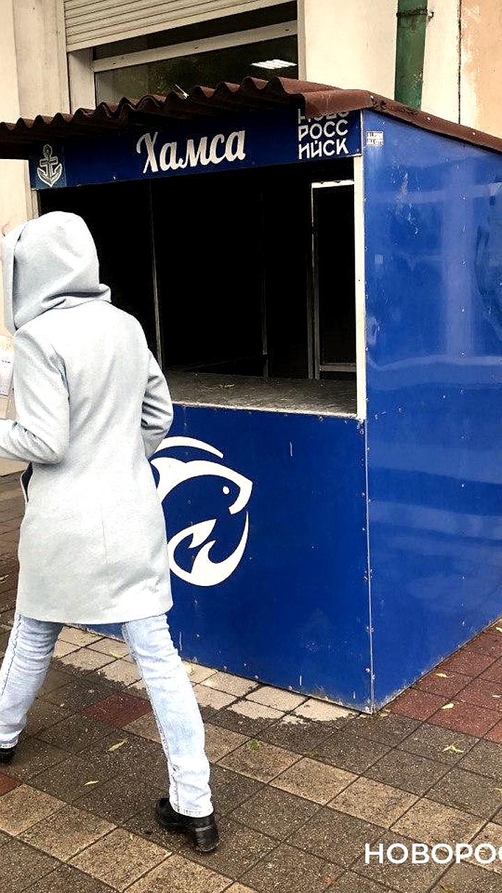 Новороссийские рыбаки начали ловлю хамсы по цене 700 рублей за килограмм