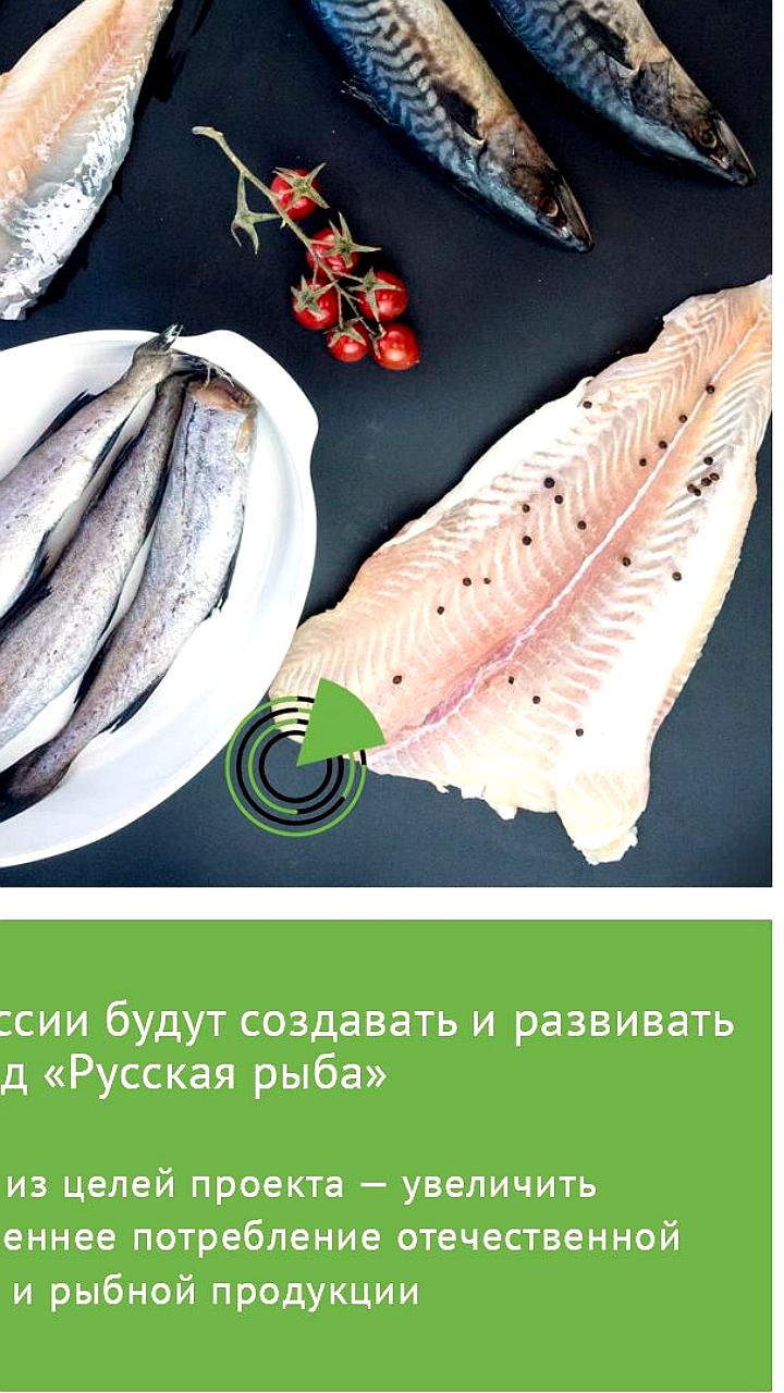 Презентация национального бренда 'Русская рыба' на Международном рыбопромышленном форуме в Санкт-Петербурге