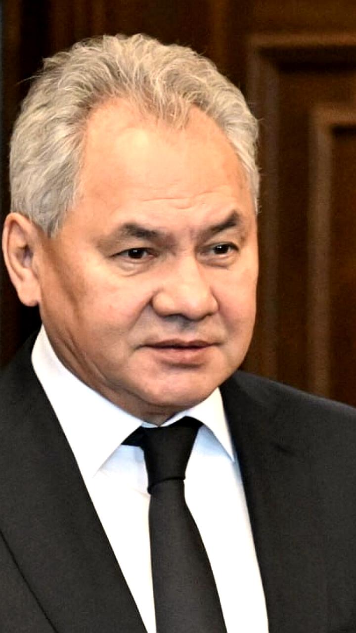 Россия планирует создать суверенную отрасль редкоземельных металлов, заявляет Сергей Шойгу