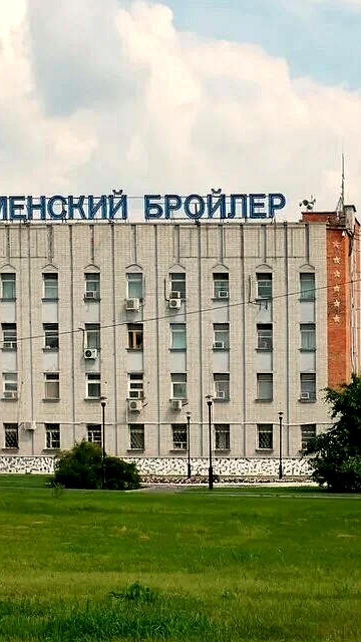 Экологические проблемы птицефабрик в России: жители Алтайского края и иск к Продо