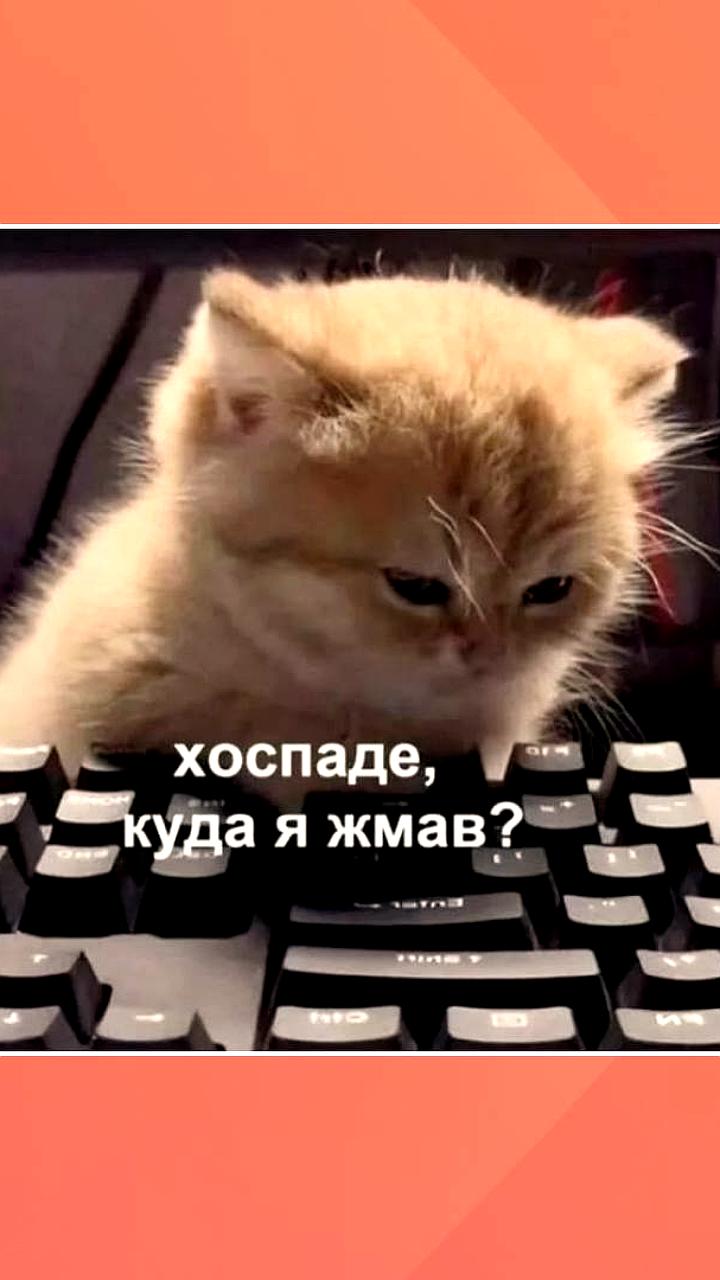 Алиса в Яндекс Браузере теперь описывает изображения для незрячих пользователей