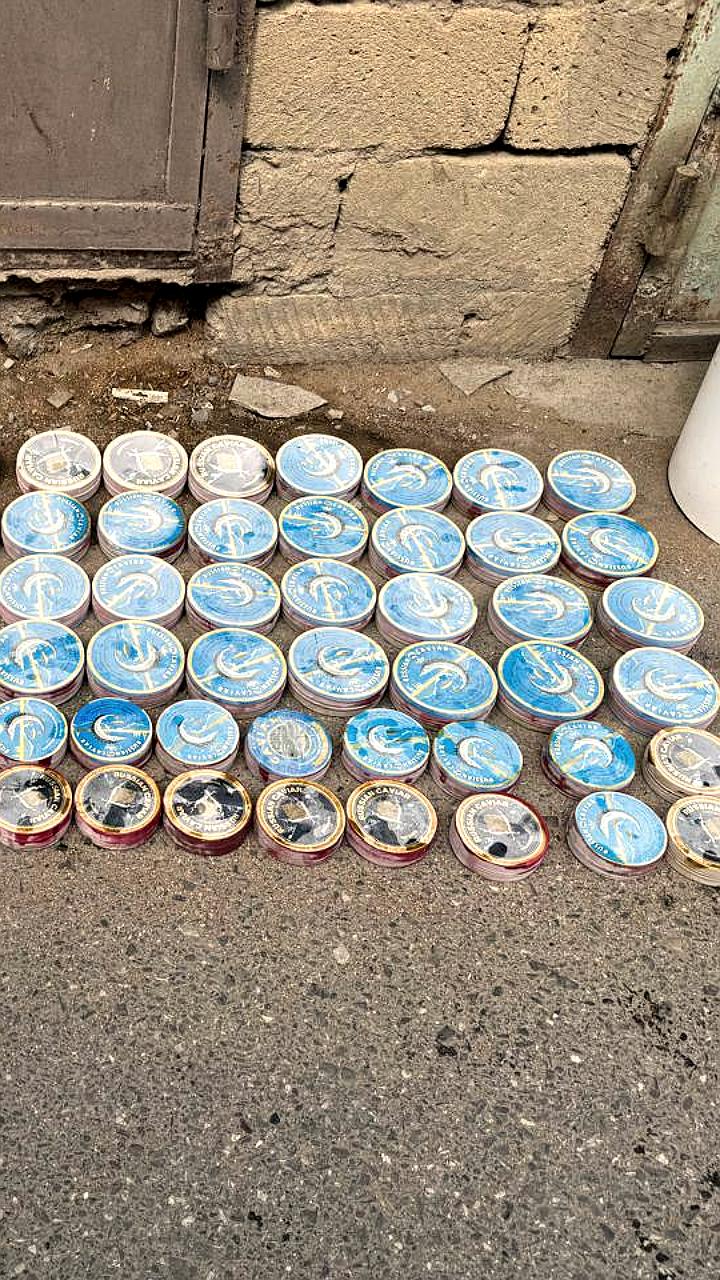 В России возбуждены уголовные дела за незаконный вылов краснокнижных рыб