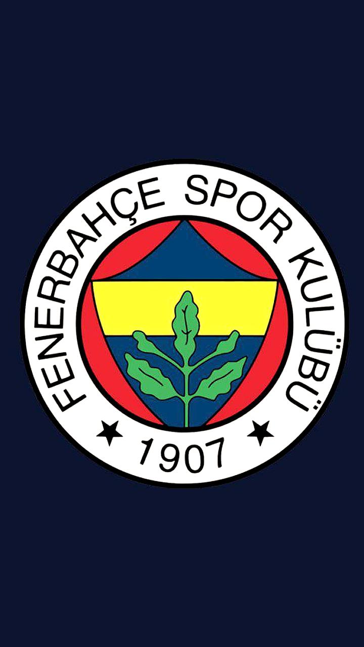 Фенербахче сообщает о долге в 28,7 миллиарда турецких лир