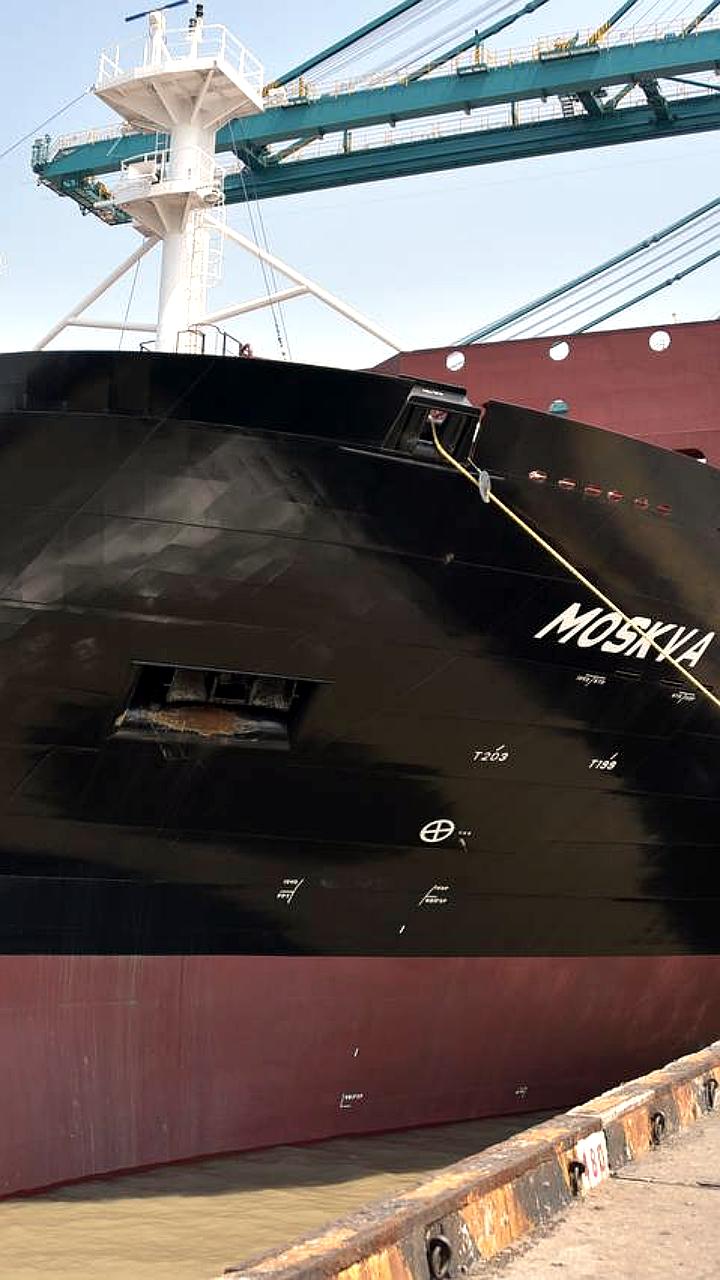 FESCO анонсировала запуск морской линии между Петербургом и Бразилией в 2025 году
