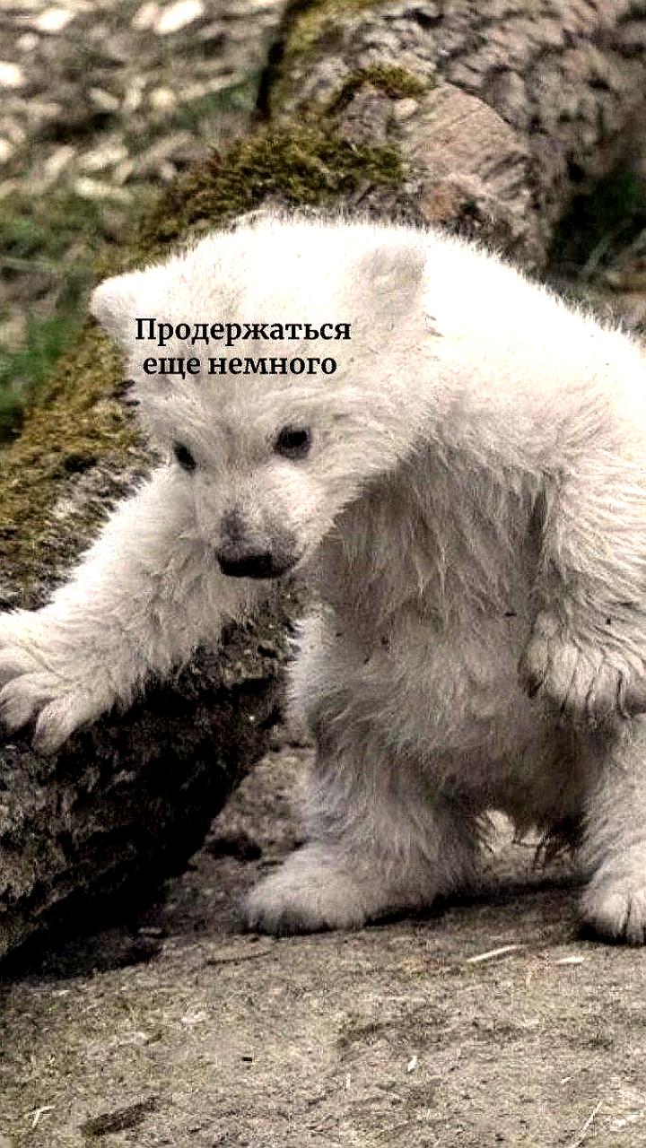 Врачи рекомендуют ограничить ежедневную ходьбу до 2000 шагов для сохранения здоровья суставов