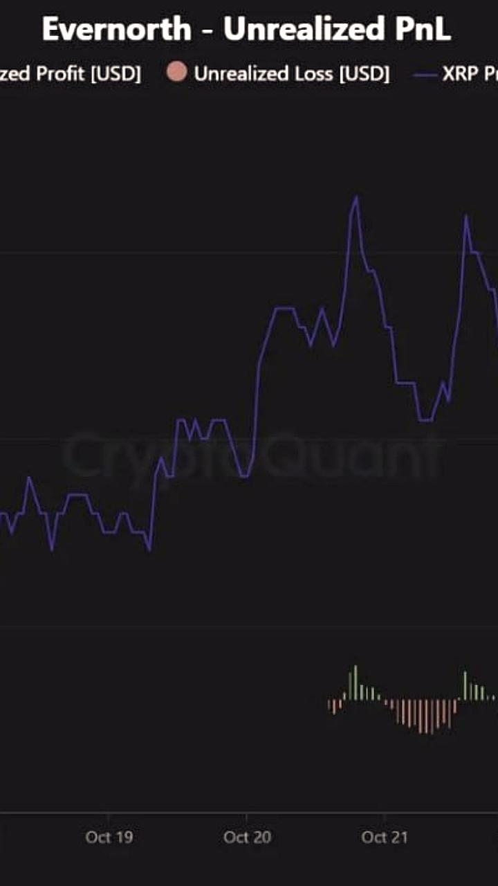 Evernorth инвестирует 1 миллиард долларов в токены XRP для выхода на фондовый рынок