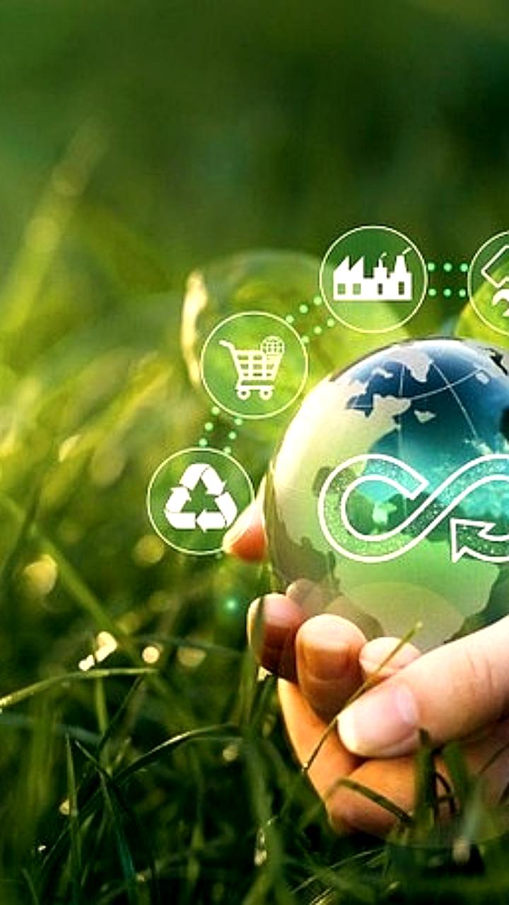 Дубай запускает инициативу Circle Dubai для сокращения отходов на душу населения