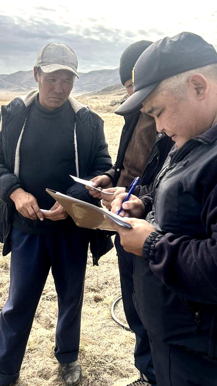 Полиция Республики Тыва усиливает контроль за выпасом скота и привлекает владельцев к ответственности