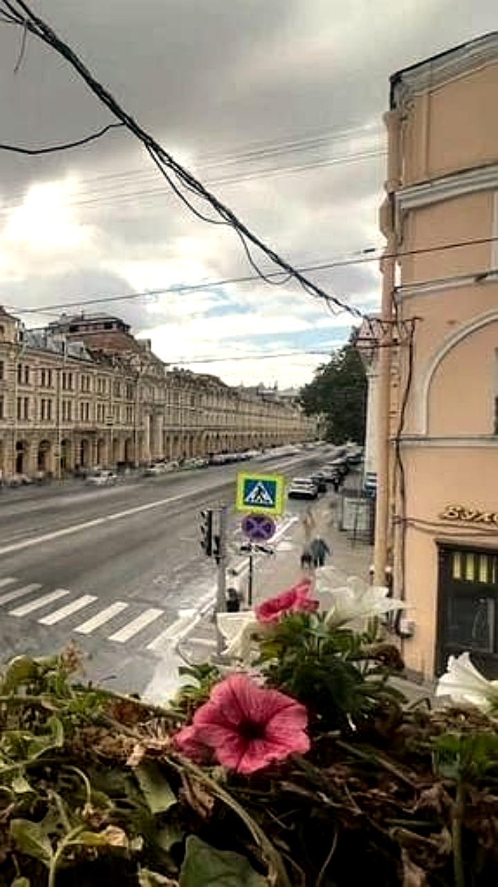 Реконструкция Апраксина двора: обновление корпусов и создание торговой зоны в Петербурге