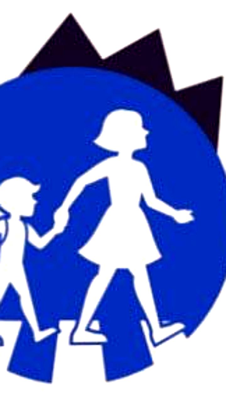 Итоги Всероссийской онлайн олимпиады 'Безопасные дороги': Челябинская область и Ставрополье среди лидеров